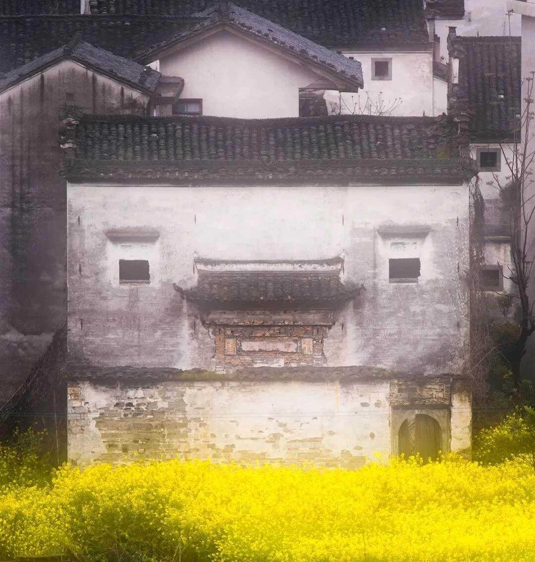 2027年3月21日花生老师走进婺源油菜花海,捕捉春天的美好!