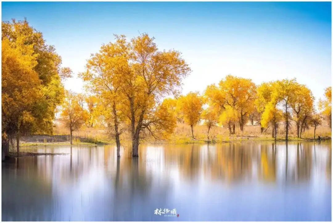 10月20日跟欧明威老师一同去南疆秋色，畅拍大漠的胡杨和人文风情！