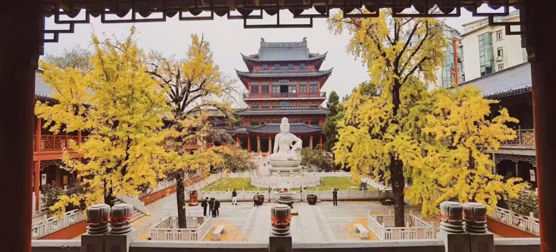 江南深秋11月26日黄文跃老师带你走进南京、苏州、镇江,感受“金陵城”的绝美秋色!